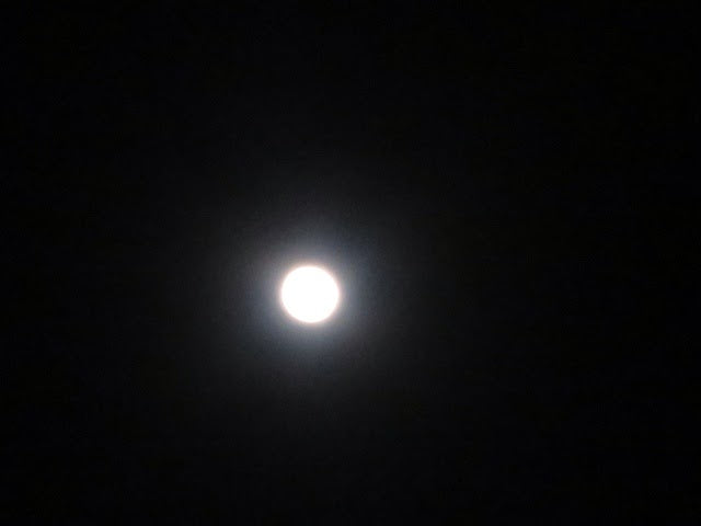 5日目 おまけ