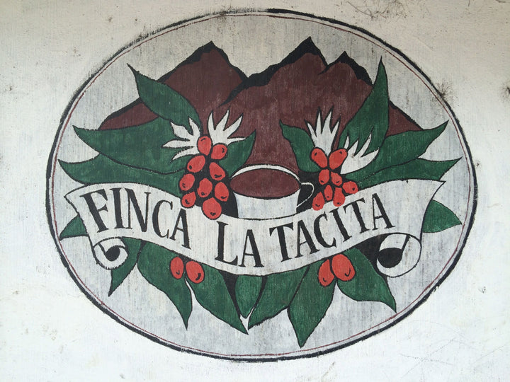 グアテマラ・ラタシータ農園（中煎り）